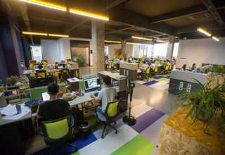 汕头封闭式阳台种菜方法